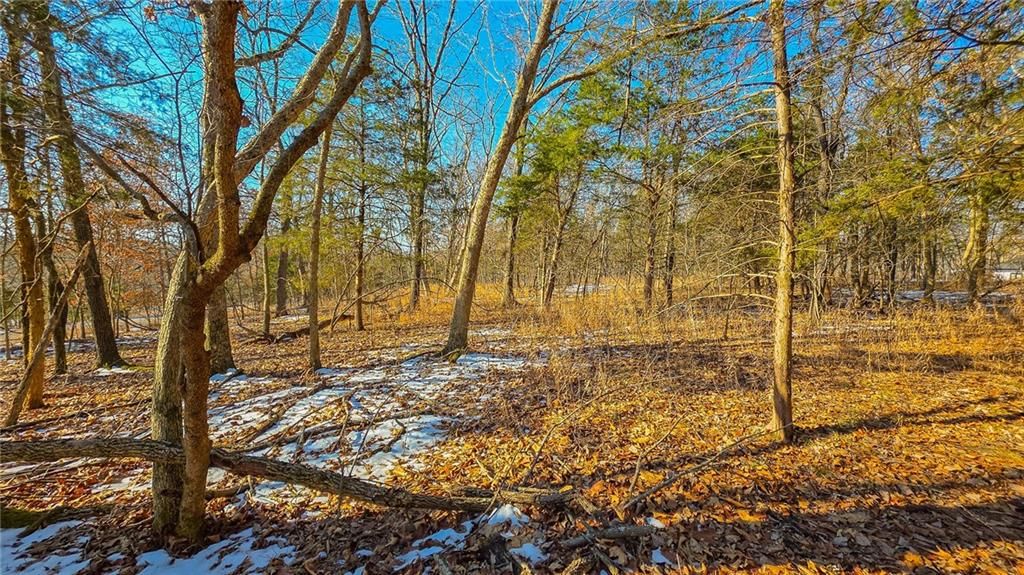 Lot #1356 Champion Drive — photo 3