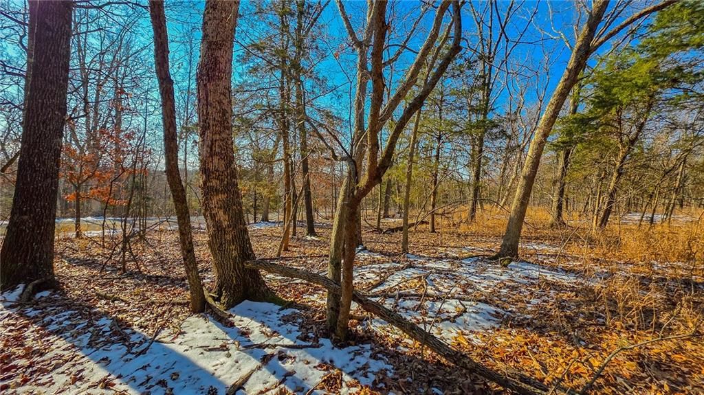 Lot #1356 Champion Drive — photo 4
