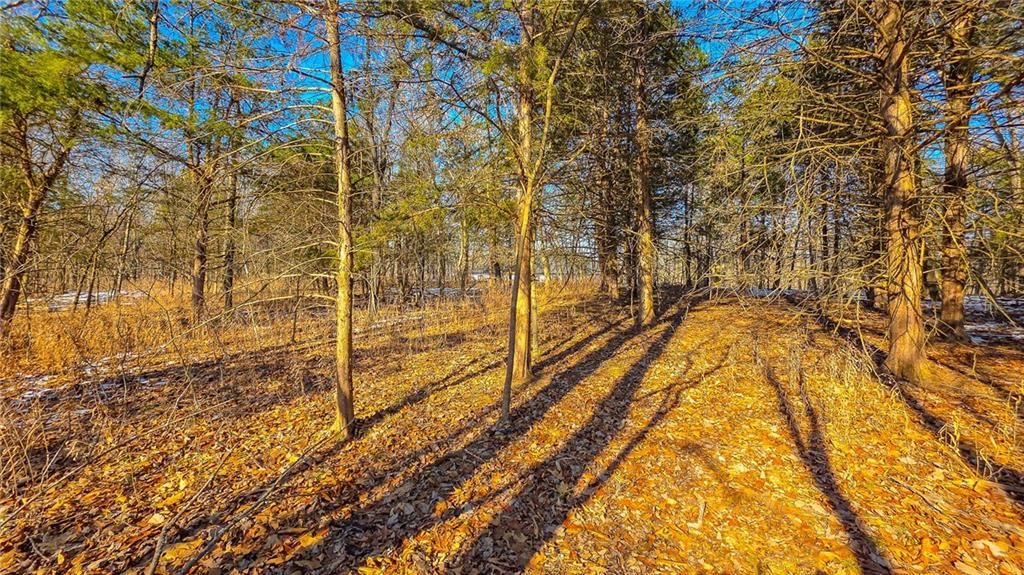 Lot #1356 Champion Drive — photo 5