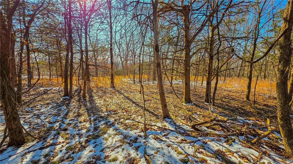 Lot #1356 Champion Drive — photo 6