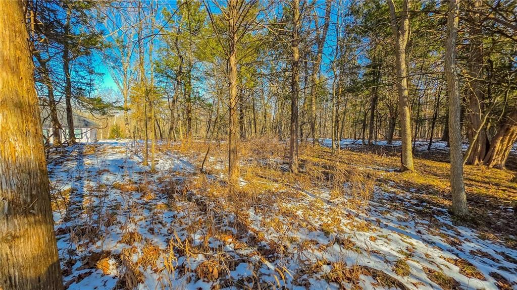 Lot #1356 Champion Drive — photo 8