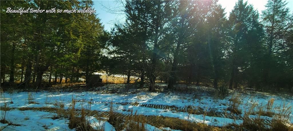 25266 H Highway — photo 42