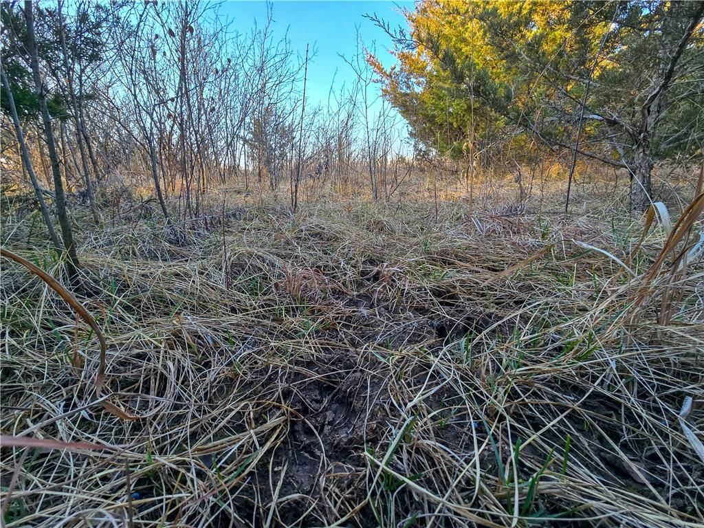 Skiddy Road — photo 6