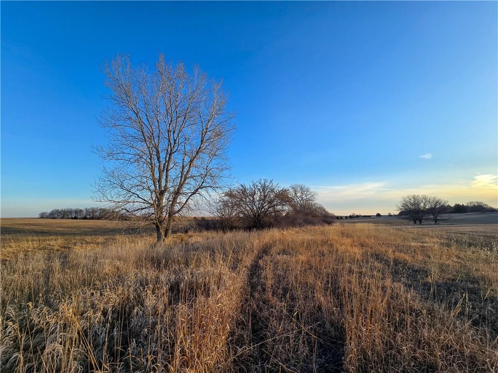 Skiddy Road — photo 12