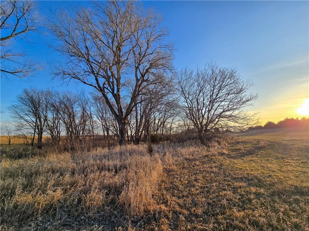 Skiddy Road — photo 13