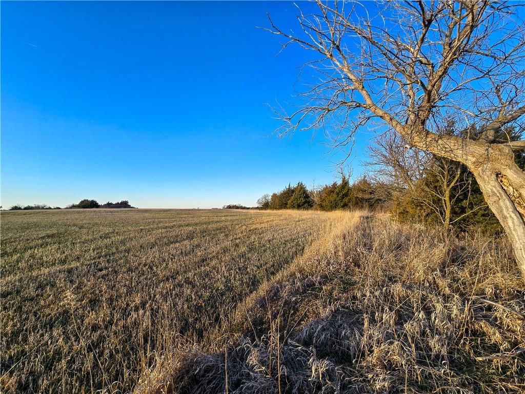 Skiddy Road — photo 14