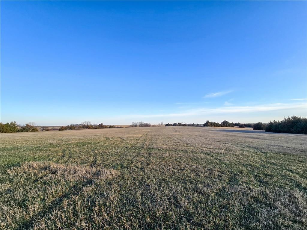 Skiddy Road — photo 16