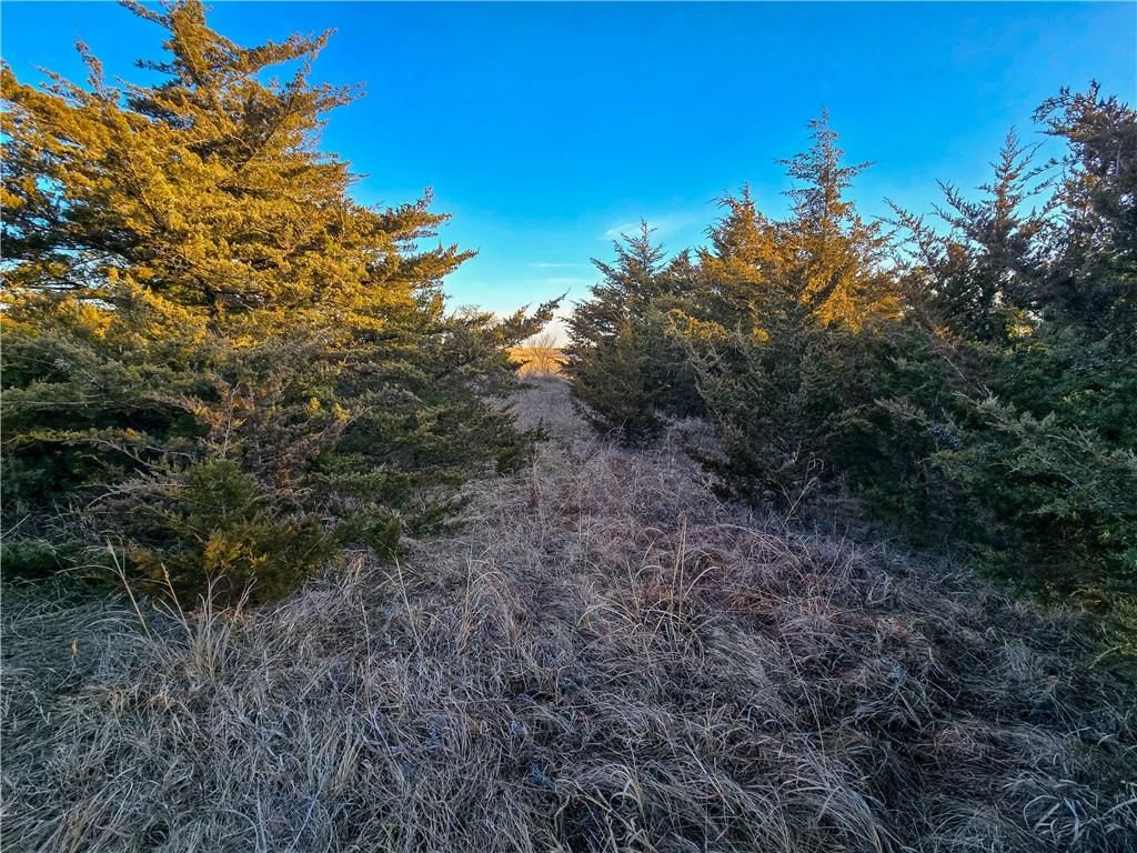 Skiddy Road — photo 26