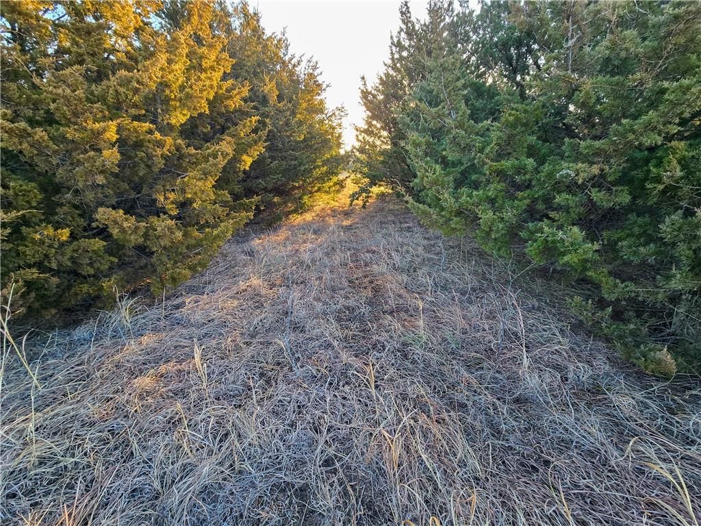 Skiddy Road — photo 28