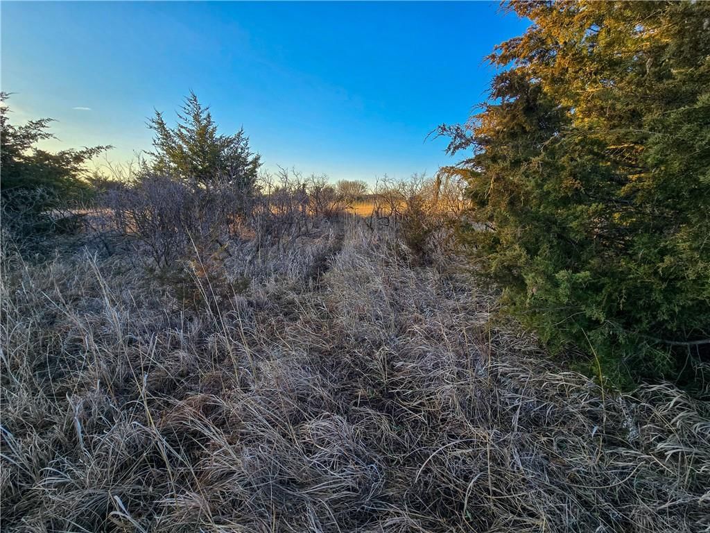Skiddy Road — photo 29