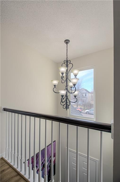 15663 Conser Street — photo 3