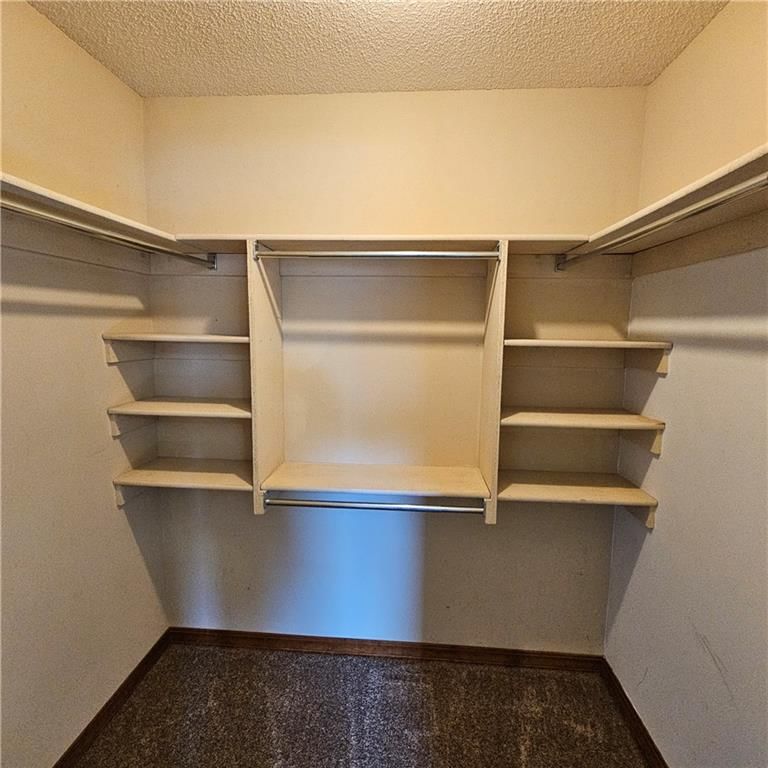 803 Spruce Street — photo 39