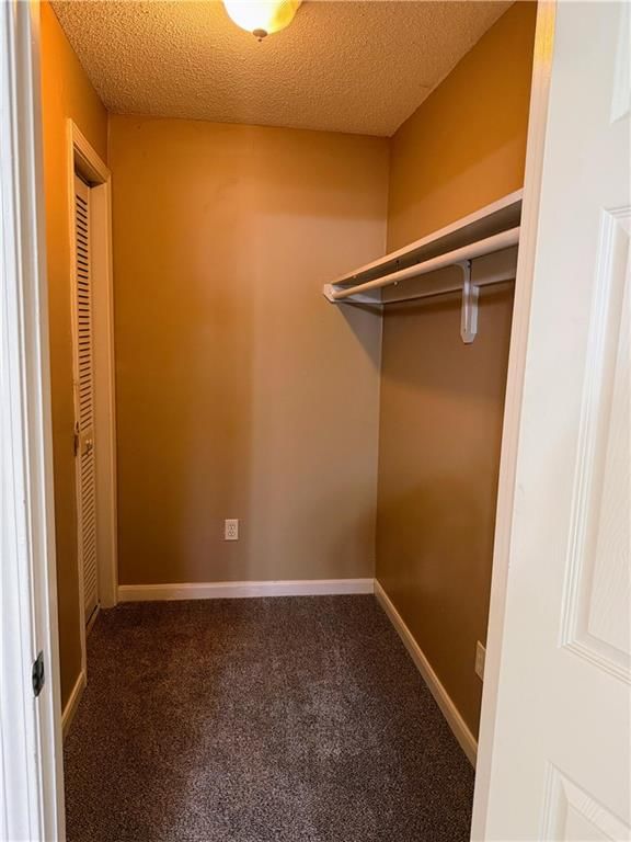 17604 Montgall Drive — photo 12