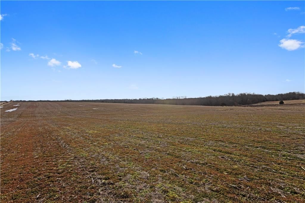 LOT 2 Quinn Road — photo 6