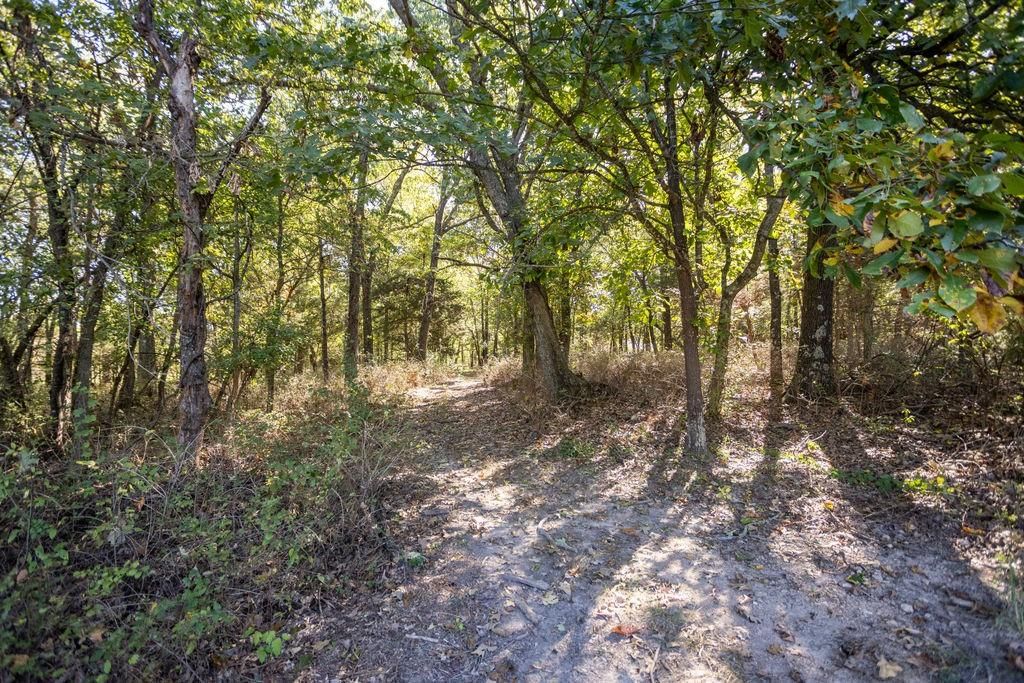 0000 Tract 2 Farm Rd 1140 Road — photo 7