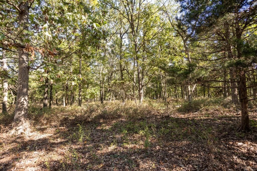 0000 Tract 2 Farm Rd 1140 Road — photo 10