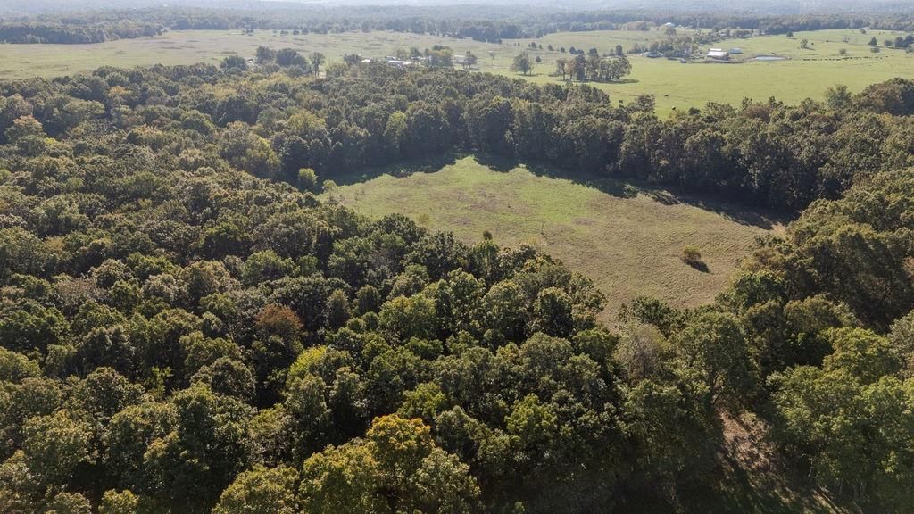 0000 Tract 2 Farm Rd 1140 Road — photo 18