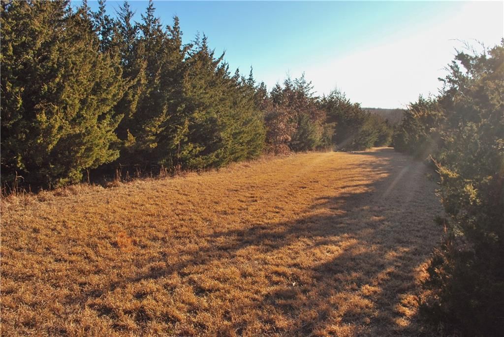 0000 CC Highway — photo 16