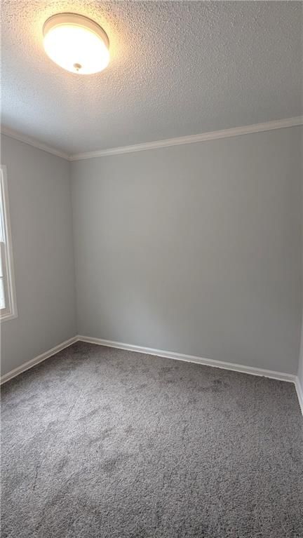 13516 12 Street — photo 12