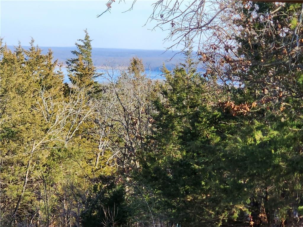 22455 County Road 203 N/A — photo 35