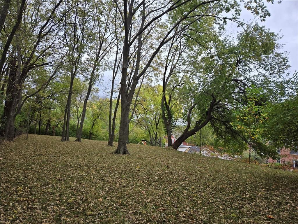 1101 Myrtle Avenue — photo 48
