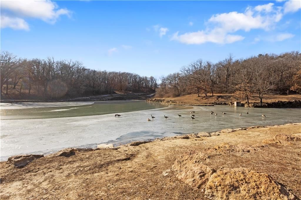 1101 Myrtle Avenue — photo 57