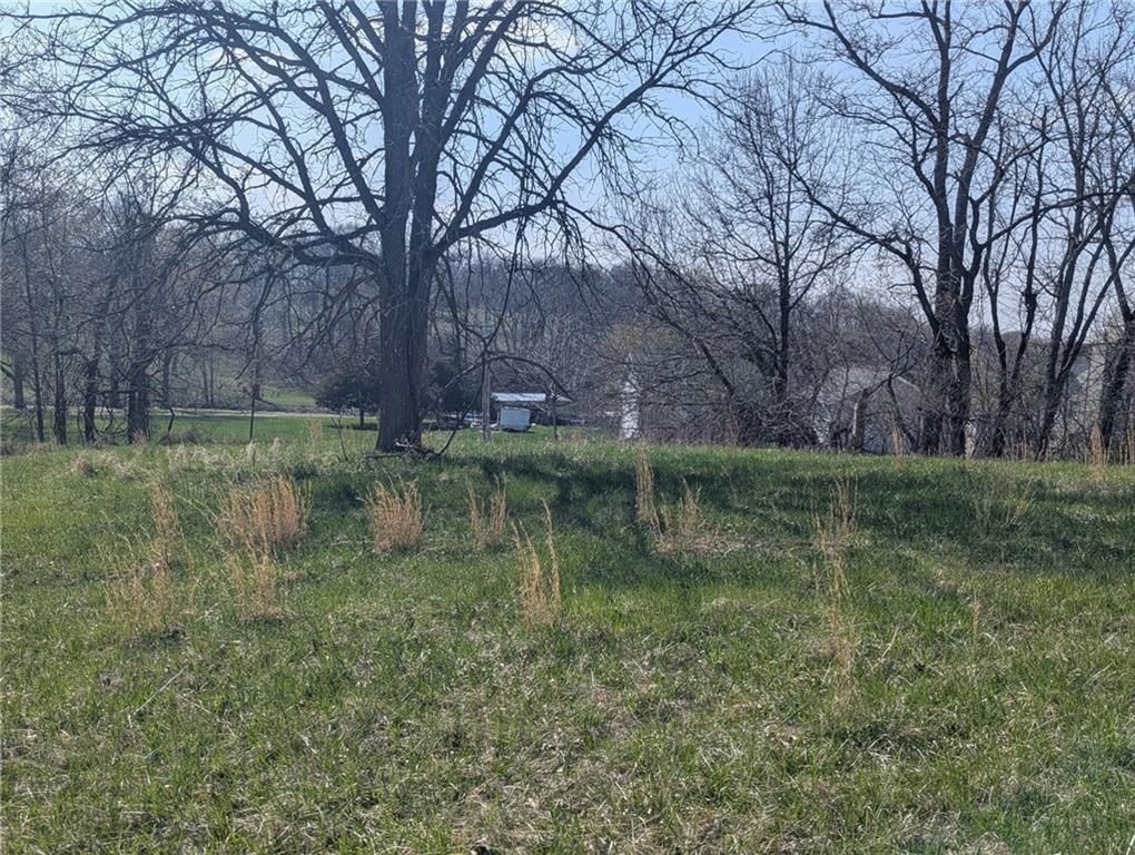 Lake Viking Lot 1136 Terrace — photo 5