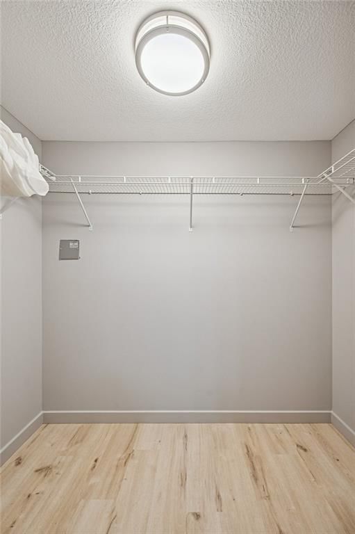 1109 S Woodbury Street — photo 20