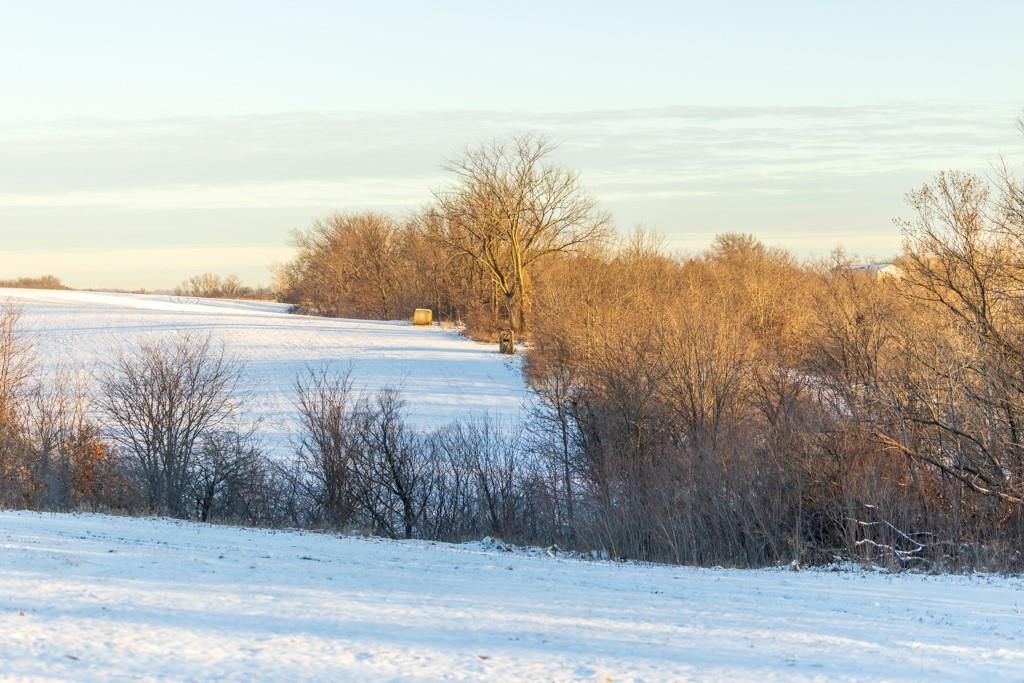 Perry Road — photo 45