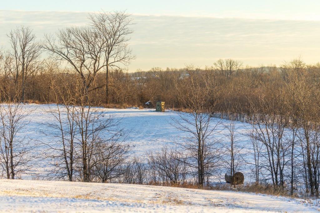Perry Road — photo 49
