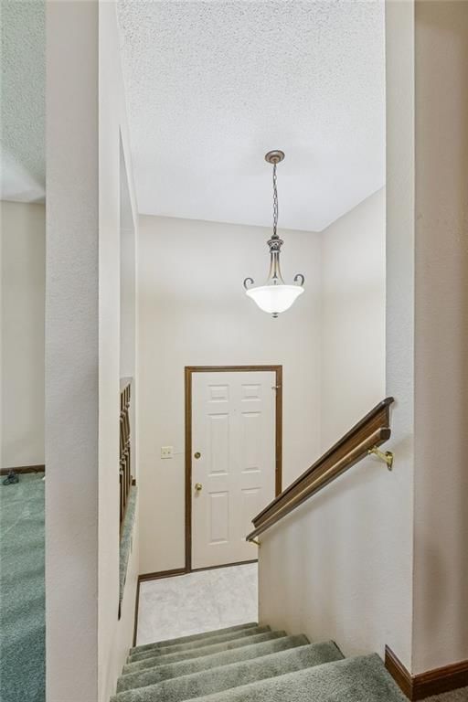 900 Shiloh Court — photo 18