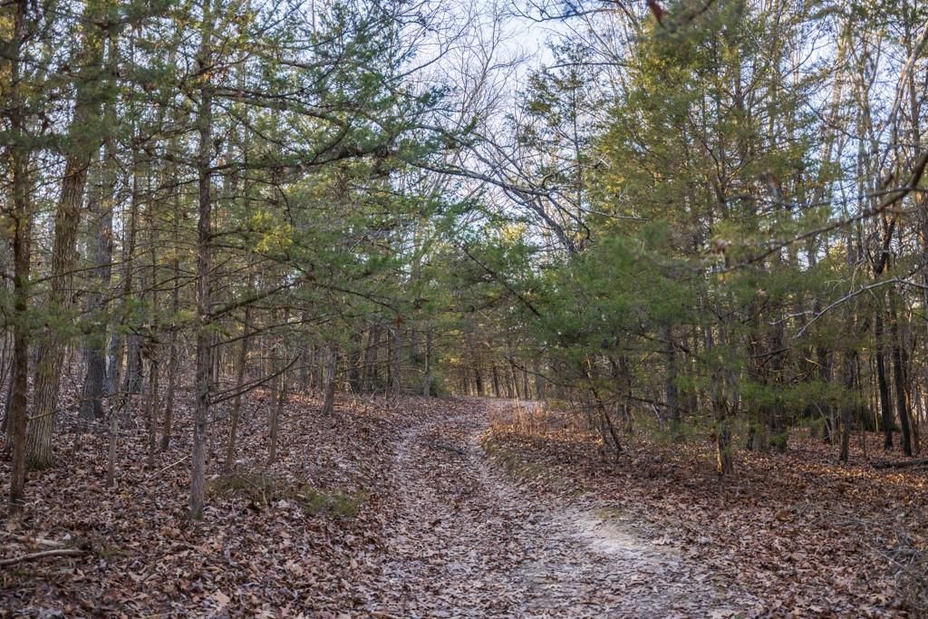 23583 Salley Drive — photo 40