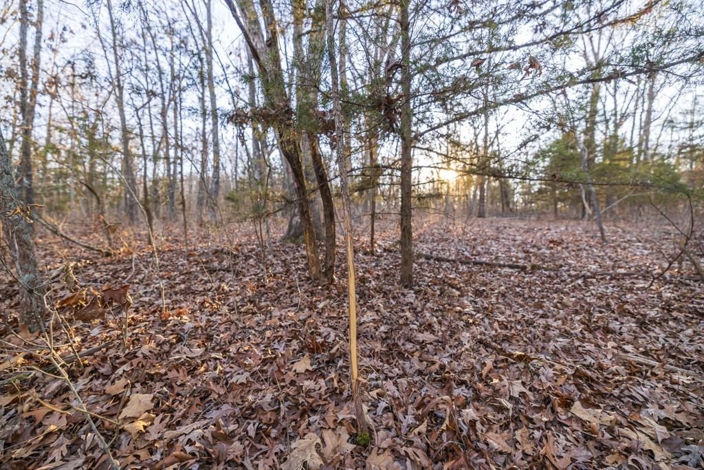 23583 Salley Drive — photo 41