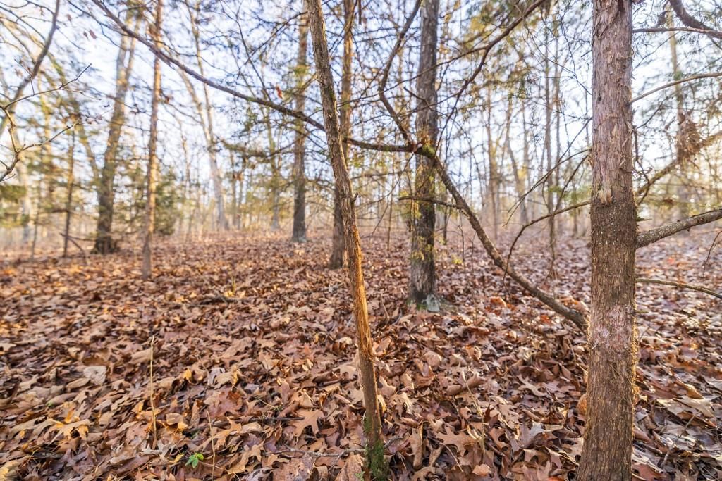 23583 Salley Drive — photo 42