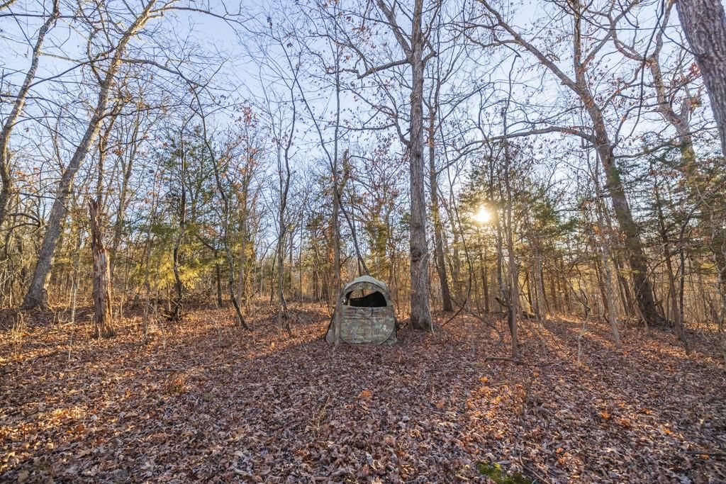 23583 Salley Drive — photo 43