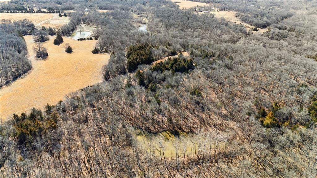 1799 Jackson Road — photo 64