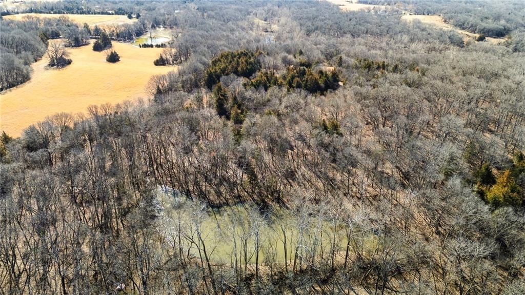 1799 Jackson Road — photo 65