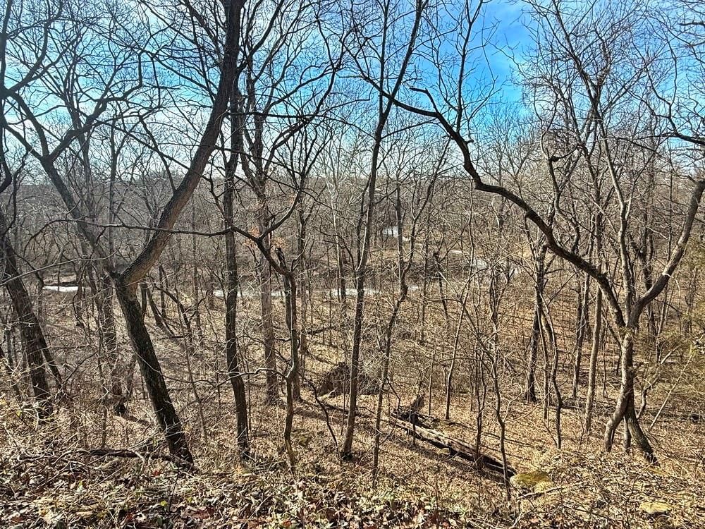 TBD S 2925 Road — photo 23
