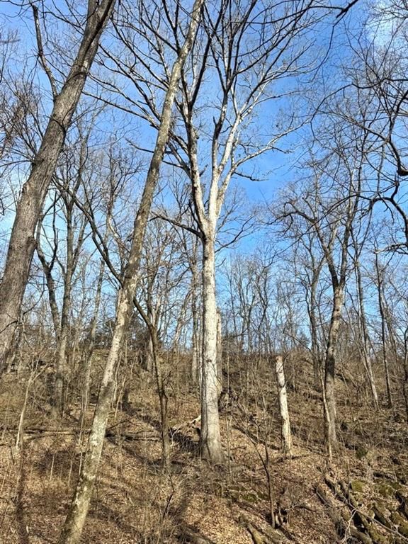 TBD S 2925 Road — photo 34
