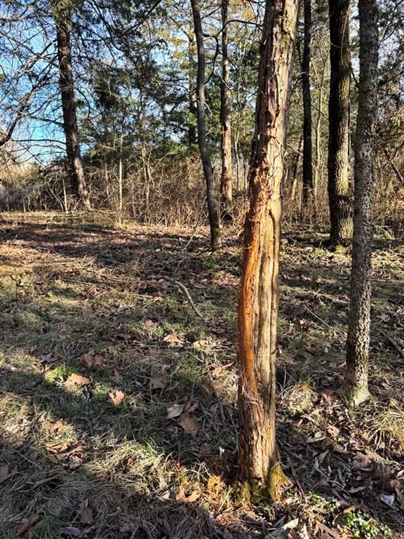 TBD S 2925 Road — photo 44