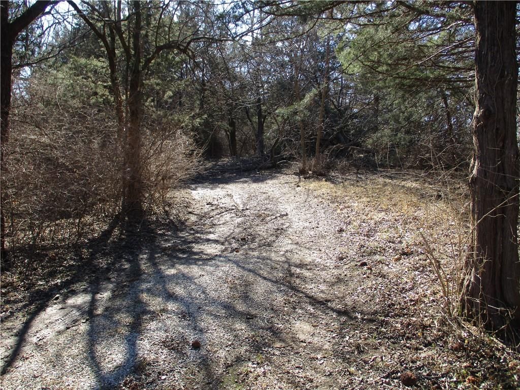 2408 Clark Road — photo 7
