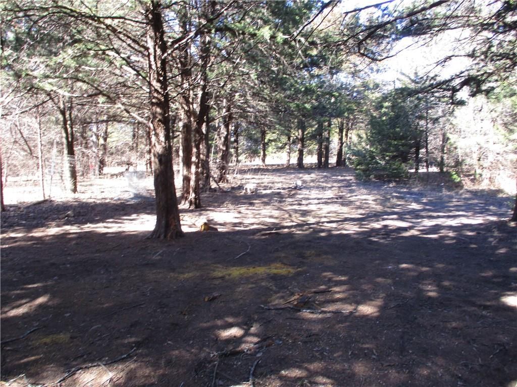 2408 Clark Road — photo 13