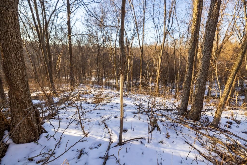 13350 Dowling Lane — photo 40