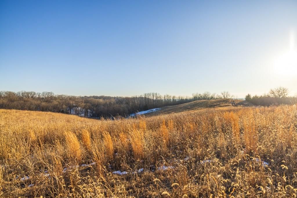 13350 Dowling Lane — photo 41