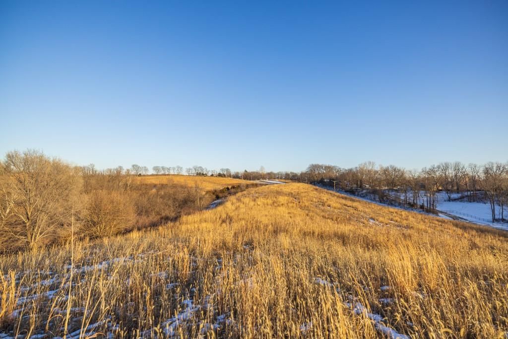 13350 Dowling Lane — photo 42