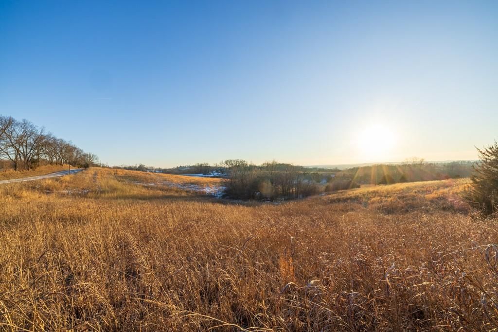 13350 Dowling Lane — photo 49