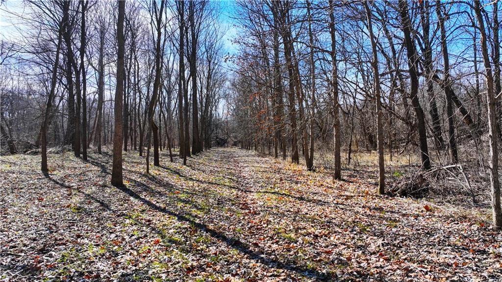 9833 Highway O Highway — photo 10