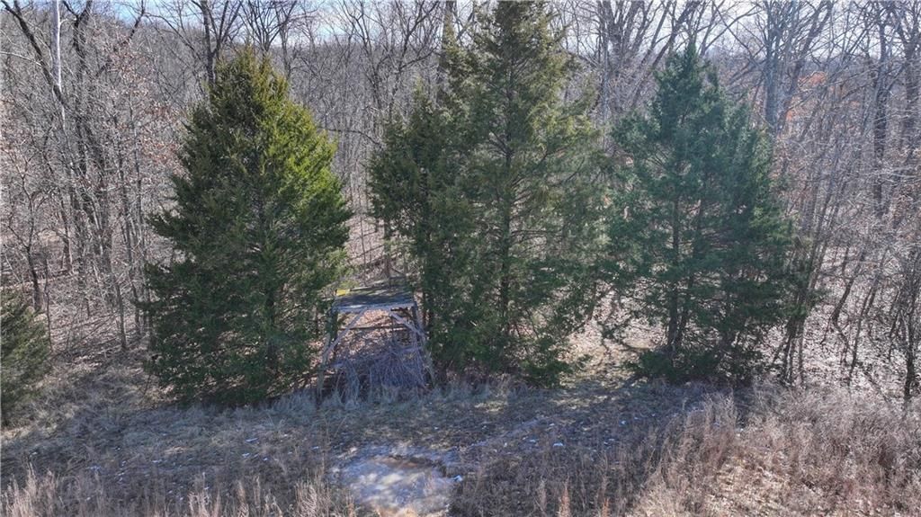 9833 Highway O Highway — photo 15