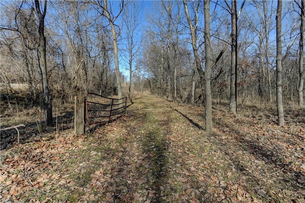 9833 Highway O Highway — photo 19