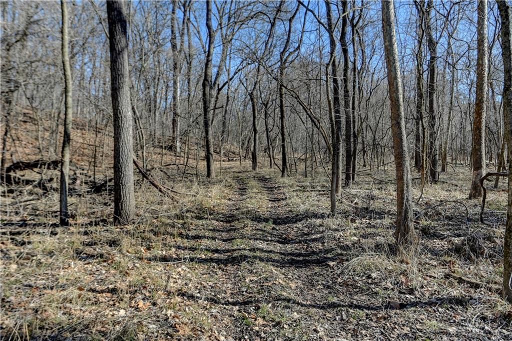 9833 Highway O Highway — photo 30